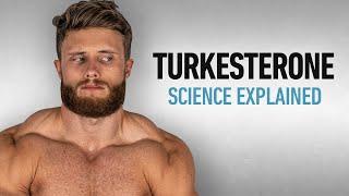 Turkesterone Explained Whats All The Hype About?