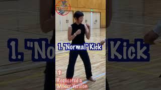 Shin Tsukii Senseis Friction Kick