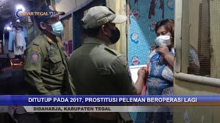 WOW... PROSTITUSI PELEMAN DI TEGAL KEMBALI BEROPERASI