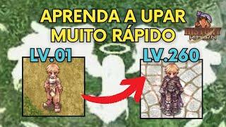 GUIA DE UP INICIANTE - NÍVEL 1 AO 260 MUITO RÁPIDO HISTORY REBORN