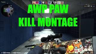 CS-GO Awp  Paw  Kill Montage