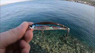 Mackerel shore fishing in Spring on Duo Spearhead Ryuki Adriatic Sea