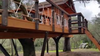 Kids treehouses Treehouse builders in northern california kids treehouse ideas and designs