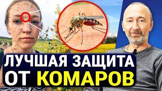 САМОЕ СИЛЬНОЕ И БЕСПЛАТНОЕ СРЕДСТВО ОТ КОМАРОВ Без химии 5 Натуральных мер избавления от комаров.