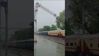 Train के ऊपर पेड़ गिर गया लगातार बारिश और हवा के कारण हुआ दुर्घटना.