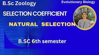 Selection Coefficient Of Natural Selection B.Sc 3rd year#evolution #bsczoology #6tsemester