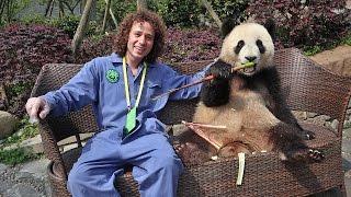 A day working in a PANDAS RESERVE  China