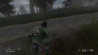 DayZ_Lil TeamWork