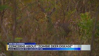 Can Zombie Deer Disease spread to humans?