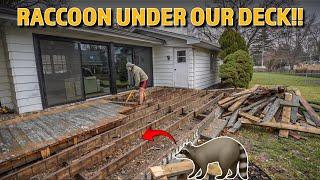 Getting Rid of Our Unwanted Roommate  Building a New Backyard Deck - Part 1 Demolition