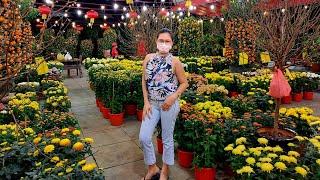 FLOWER SHOPCHIN LING NURSERYSINGAPOREJEBLET EVER