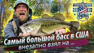  THE BIGGEST BASS IN AMERICA. Fishing at the forest pond. Trophy Largemouth Bass. 201910