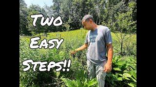 Fix Your Garden Fast  Solving Garden Problems in Just 15 Minutes a Day