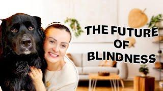 Will Technology Be The Cure For Blindness? Robotic Guide dogs Self Driving Cars VRAI