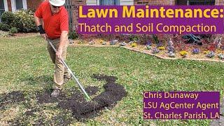 Thatch and Soil Compaction in Lawns