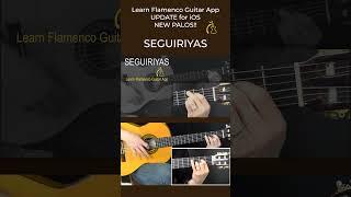 SEGUIRIYAS palo-Learn Flamenco Guitar App iOS update- Seguiriyas