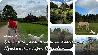 VLOG #8. Золотая осень в Пушкинских горах