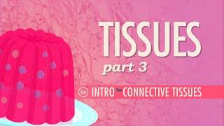 Tissues Part 3 - Connective Tissues Crash Course Anatomy & Physiology #4