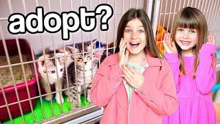 We Visit an Animal Shelter *emotional*  Fizz Sisters