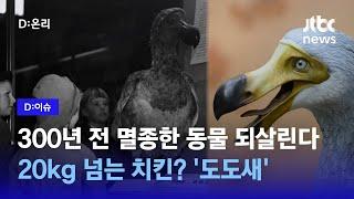 1681년 멸종한 새 도도 유전자 편집 기술로 복원한다…성공하면 멸종동물 되살린 첫 사례｜D이슈