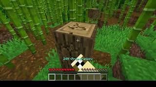 When Minecraft Dont Want You To Play For More Than 30 Seconds 