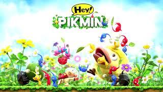 48. Select Area Sector 4 - Hey Pikmin