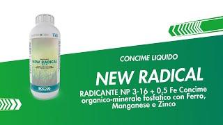 New Radical 3-16-0 - Concime liquido RADICANTE PER PRATO
