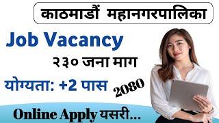 Kathmandu mahanagarpalika vacancy 2080  new job vacancy in kathmandu  lbsmartguru