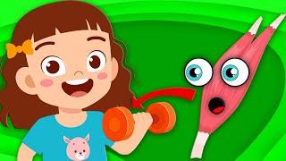 The Muscle Song  Human Body Songs For Kids   KLT Anatomy