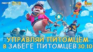 CG Забег Питомцев   Garena Free Fire