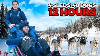 104 km Dog Sledding Trip with Funkygine