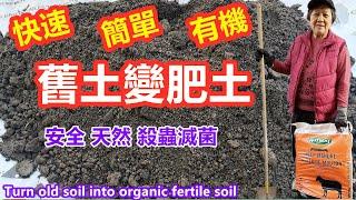 種菜前必做的事 ，如何把舊土變成有機肥土，多種安全，簡單的殺蟲滅菌方法，How to turn old soil into organic fertile soil（繁体字幕）