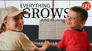 Everything Grows  June in Japan  Life in Japan EP 267