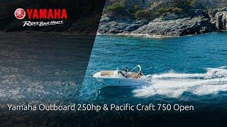 Yamaha Outboard 250hp & Pacific Craft 750 Open