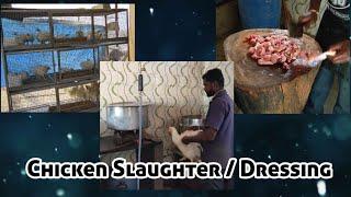 Chicken Slaughter in Bangalore India