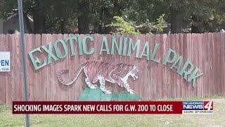 PETA calls for ‘Tiger King’ zoo to shut down after obtaining photos from USDA inspection