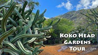 Koko Crater Botanical Gardens Walking Tour - Oahu