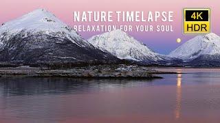 4K HDR Nature Timelapse Relaxation for your Soul