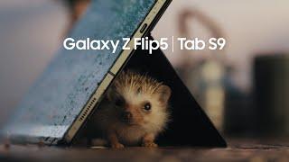 Galaxy Z Flip5  Tab S9 Ecosystem Film  Samsung​