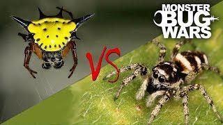 Spider vs Spider Showdowns #6-8  MONSTER BUG WARS