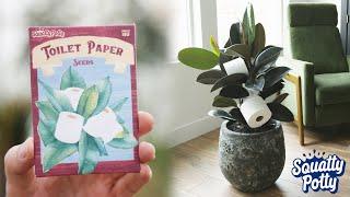 Grow Your Own Toilet Paper With These Special Seeds