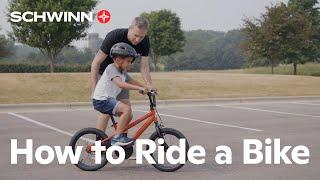 Learn How to Ride a Bike  Easy Guide for Beginners