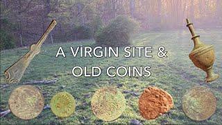 A VIRGIN SITE AND OLD COINS  DAYS LIKE THIS DONT COME VERY OFTEN