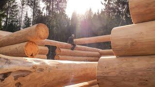 Craftsmen Build Massive Log Cabin - EP3