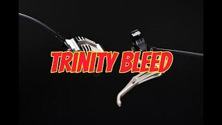 Intend Trinity Brake Bleed