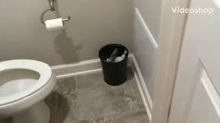 Taking a HUGE dump on camera