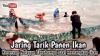 Jaring Tarik pinggir pantai Tanahampo‼️ ikannya sampek berlompatan ke daratan