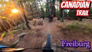 ONE OF THE BEST TRAILS IN FREIBURG CANADIAN TRAIL  Sunset Ride