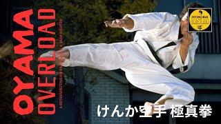 KARATE BULLFIGHTER けんか空手 極真拳  KARATE BEARFIGHTER けんか空手 極真無頼拳 1975 - Retrospective