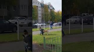 в Сургуте те кого звуки сирен в нашем городе никогда не оставляют равнодушными #сургут   #сирена